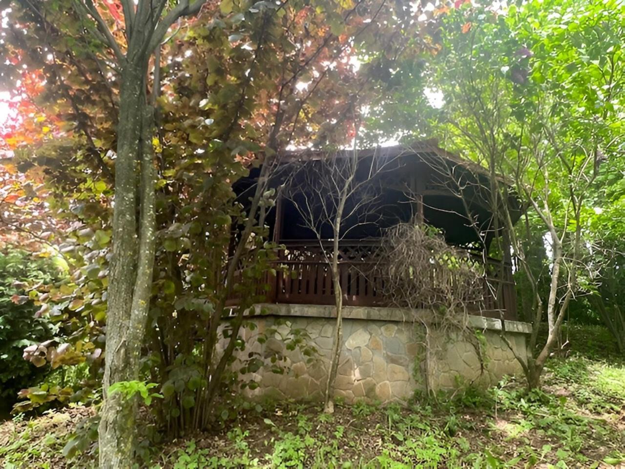 Wine Cellar Villa With Beautiful Garden In Sinaia - Busteni Poiana Tapului Exterior foto