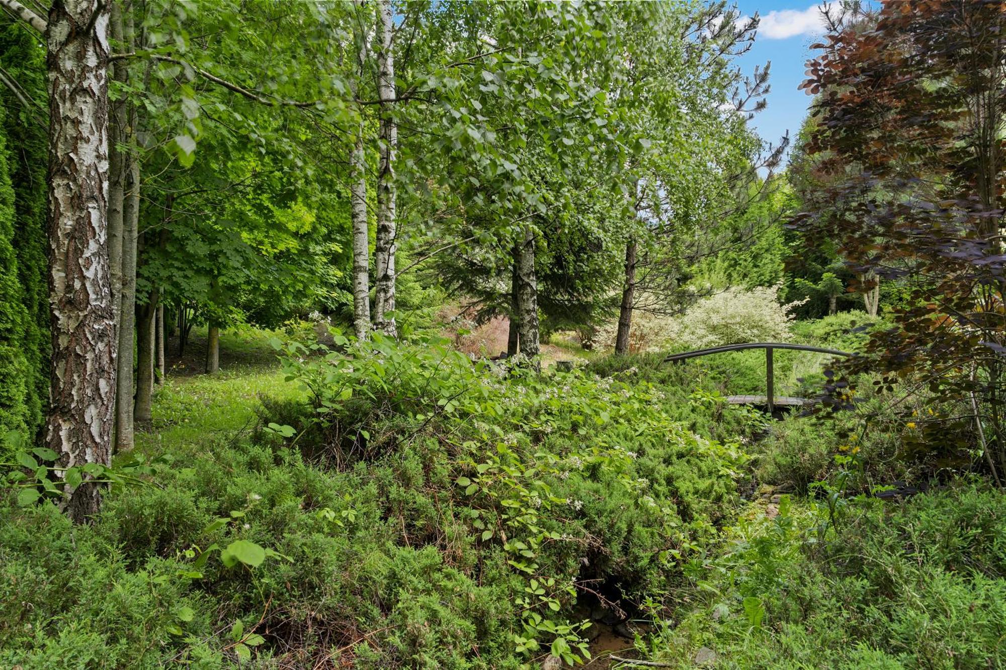 Wine Cellar Villa With Beautiful Garden In Sinaia - Busteni Poiana Tapului Exterior foto